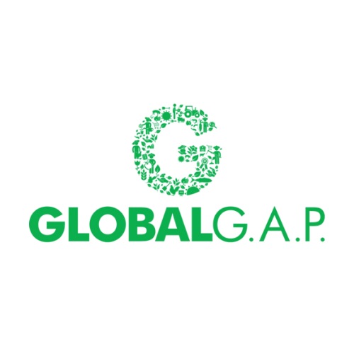 GLOBAL GAP